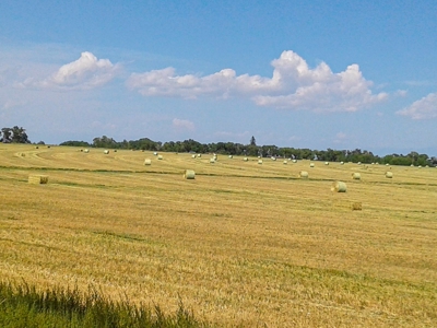 Colorado Ranch  For Sale With Water Rights / Income / Crops - image 16