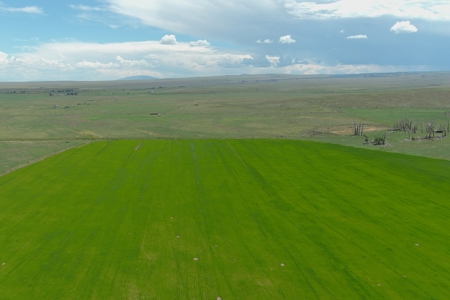 Colorado Ranch  For Sale With Water Rights / Income / Crops - image 25