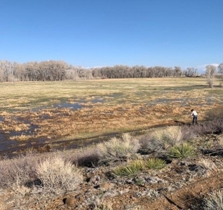 Colorado Ranch  For Sale With Water Rights / Income / Crops - image 3