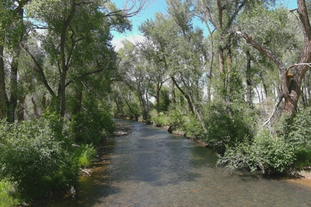 Colorado Ranch  For Sale With Water Rights / Income / Crops - image 40