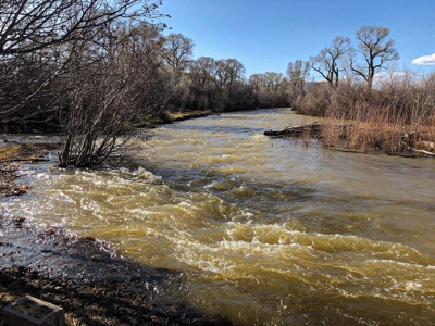 Colorado Ranch  For Sale With Water Rights / Income / Crops - image 14