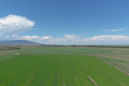 Colorado Ranch  For Sale With Water Rights / Income / Crops - image 23