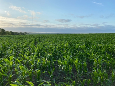 Land for Development for Sale in Central Texas - image 10