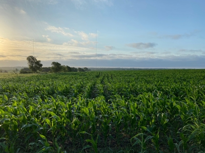 Land for Development for Sale in Central Texas - image 11