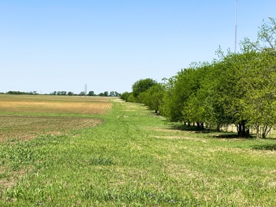 Land for Development for Sale in Central Texas - image 6