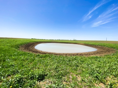 Land for Development for Sale in Central Texas - image 3