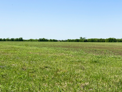 Land for Development for Sale in Central Texas - image 9