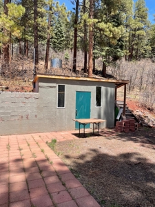Northern NM Mountain Cabin w/ Brazos Cliff Views / Chama NM - image 11