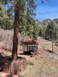 Northern NM Mountain Cabin w/ Brazos Cliff Views / Chama NM - image 8