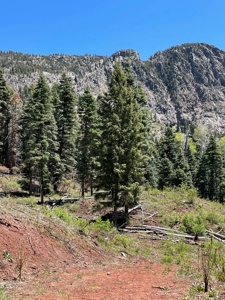 Northern NM Mountain Cabin w/ Brazos Cliff Views / Chama NM - image 24