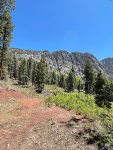 Northern NM Mountain Cabin w/ Brazos Cliff Views / Chama NM - image 28