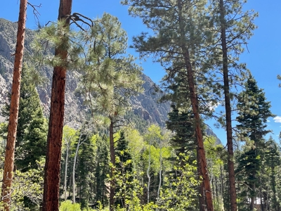 Northern NM Mountain Cabin w/ Brazos Cliff Views / Chama NM - image 26