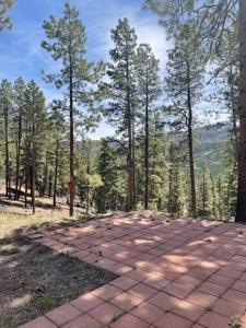 Northern NM Mountain Cabin w/ Brazos Cliff Views / Chama NM - image 3