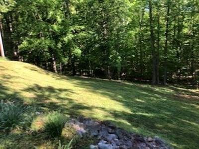 Waterfront Country Home in Western Ky Lake Barkley - image 10