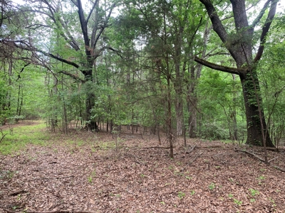 Timberland near Camden, AR for Sale W/ Home Site Potential - image 11
