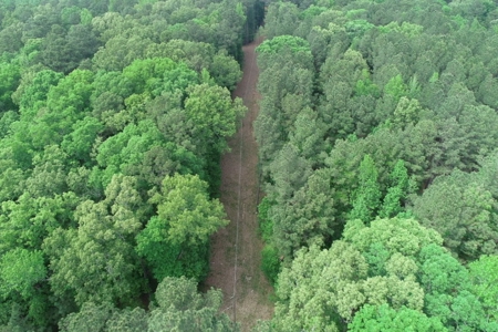 Timberland near Camden, AR for Sale W/ Home Site Potential - image 16