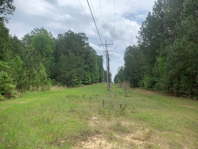 Timberland near Camden, AR for Sale W/ Home Site Potential - image 2
