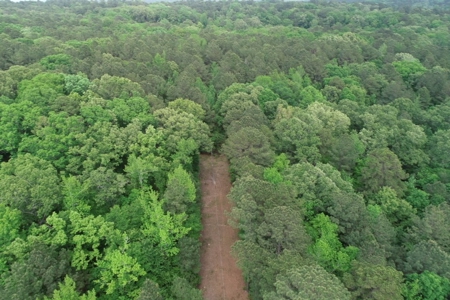 Timberland near Camden, AR for Sale W/ Home Site Potential - image 17
