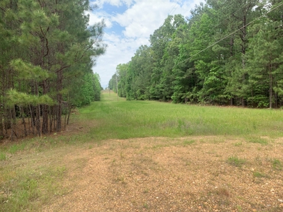 Timberland near Camden, AR for Sale W/ Home Site Potential - image 1