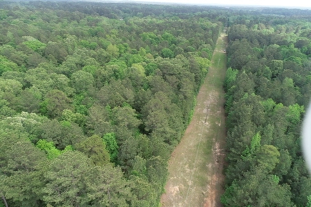 Timberland near Camden, AR for Sale W/ Home Site Potential - image 18