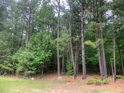 Timberland near Camden, AR for Sale W/ Home Site Potential - image 3