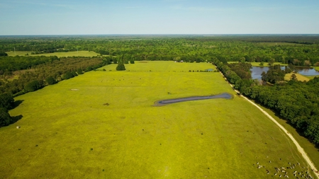Premier North East Texas Ranch For Sale In Red River County - image 12