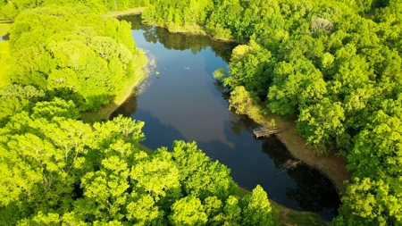 Premier North East Texas Ranch For Sale In Red River County - image 31