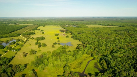 Premier North East Texas Ranch For Sale In Red River County - image 24
