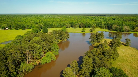 Premier North East Texas Ranch For Sale In Red River County - image 10