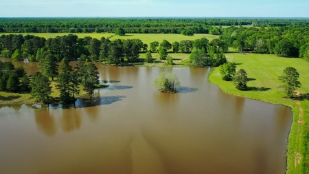 Premier North East Texas Ranch For Sale In Red River County - image 3