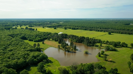 Premier North East Texas Ranch For Sale In Red River County - image 4