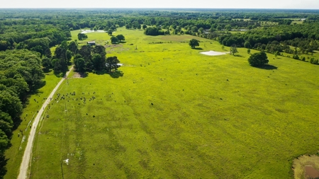Premier North East Texas Ranch For Sale In Red River County - image 8