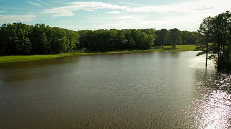 Premier North East Texas Ranch For Sale In Red River County - image 14