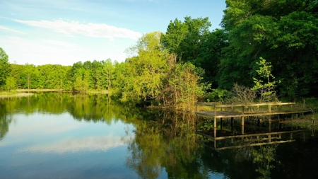 Premier North East Texas Ranch For Sale In Red River County - image 29