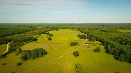 Premier North East Texas Ranch For Sale In Red River County - image 22