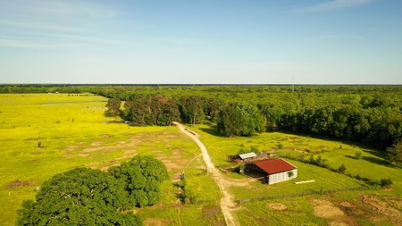 Premier North East Texas Ranch For Sale In Red River County - image 19