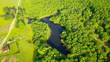 Premier North East Texas Ranch For Sale In Red River County - image 32