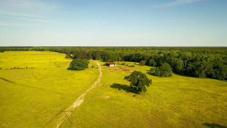 Premier North East Texas Ranch For Sale In Red River County - image 20