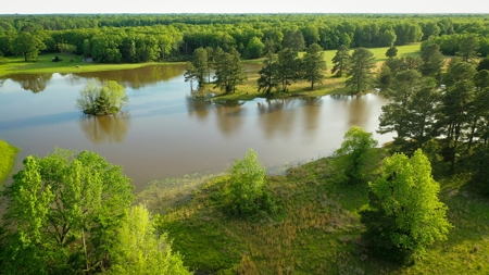 Premier North East Texas Ranch For Sale In Red River County - image 37