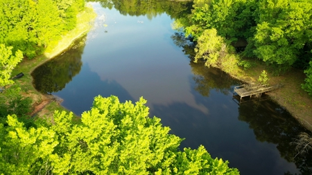 Premier North East Texas Ranch For Sale In Red River County - image 30