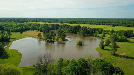 Premier North East Texas Ranch For Sale In Red River County - image 6