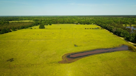 Premier North East Texas Ranch For Sale In Red River County - image 11