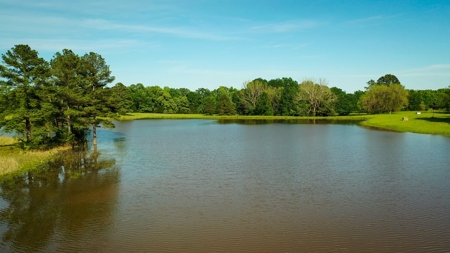 Premier North East Texas Ranch For Sale In Red River County - image 15