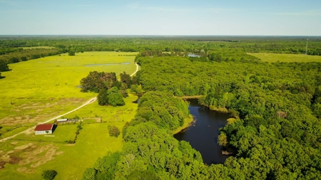 Premier North East Texas Ranch For Sale In Red River County - image 9