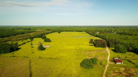 Premier North East Texas Ranch For Sale In Red River County - image 21