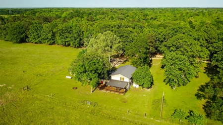 Premier North East Texas Ranch For Sale In Red River County - image 13