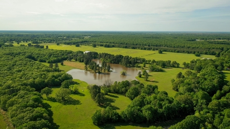 Premier North East Texas Ranch For Sale In Red River County - image 5