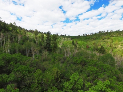 Lot For Sale, Easy Access Town, Ouray, Colorado - image 7