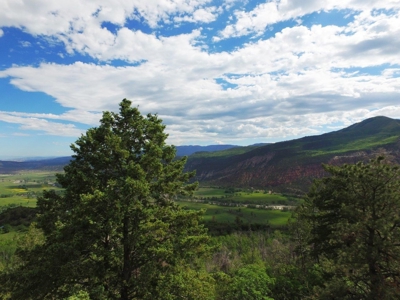 Lot For Sale, Easy Access Town, Ouray, Colorado - image 8