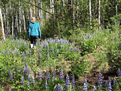 Lot For Sale, Easy Access Town, Ouray, Colorado - image 6